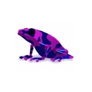 Purple Dart Frog